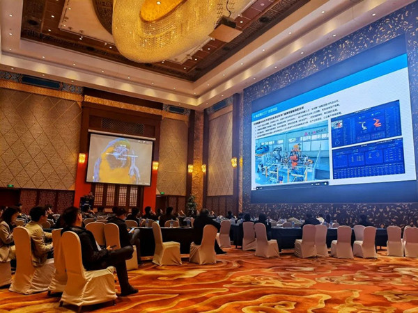 1618809532159027.jpg 3.jpg